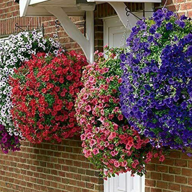 Easy Fill Plants Flowers Hanging Planter Garden Outdoor Home Baskets With Chains